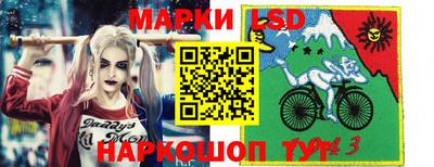 молекула духа Донской