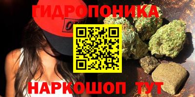 молекула духа Донской